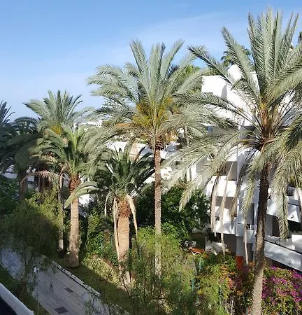 Costadeje Apartment Costa Adeje (Tenerife)